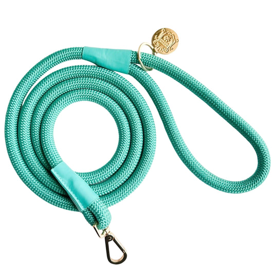 The Classic Leash - Caribbean Teal