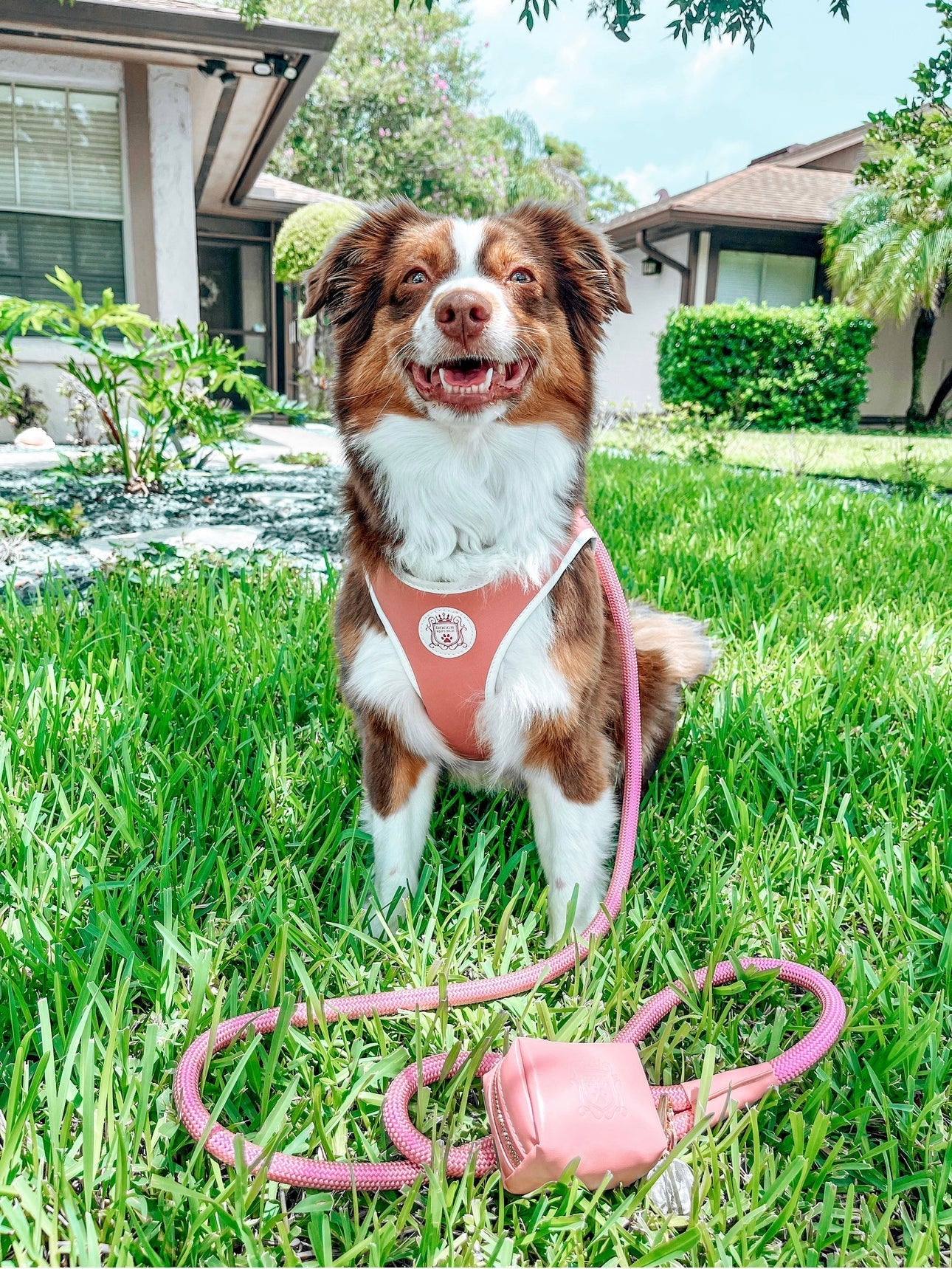 The Classic Harness - Malibu