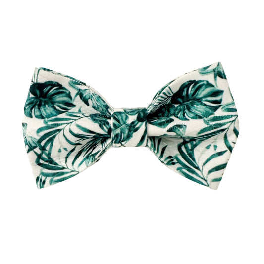The Doggie Bow Tie - Fiji