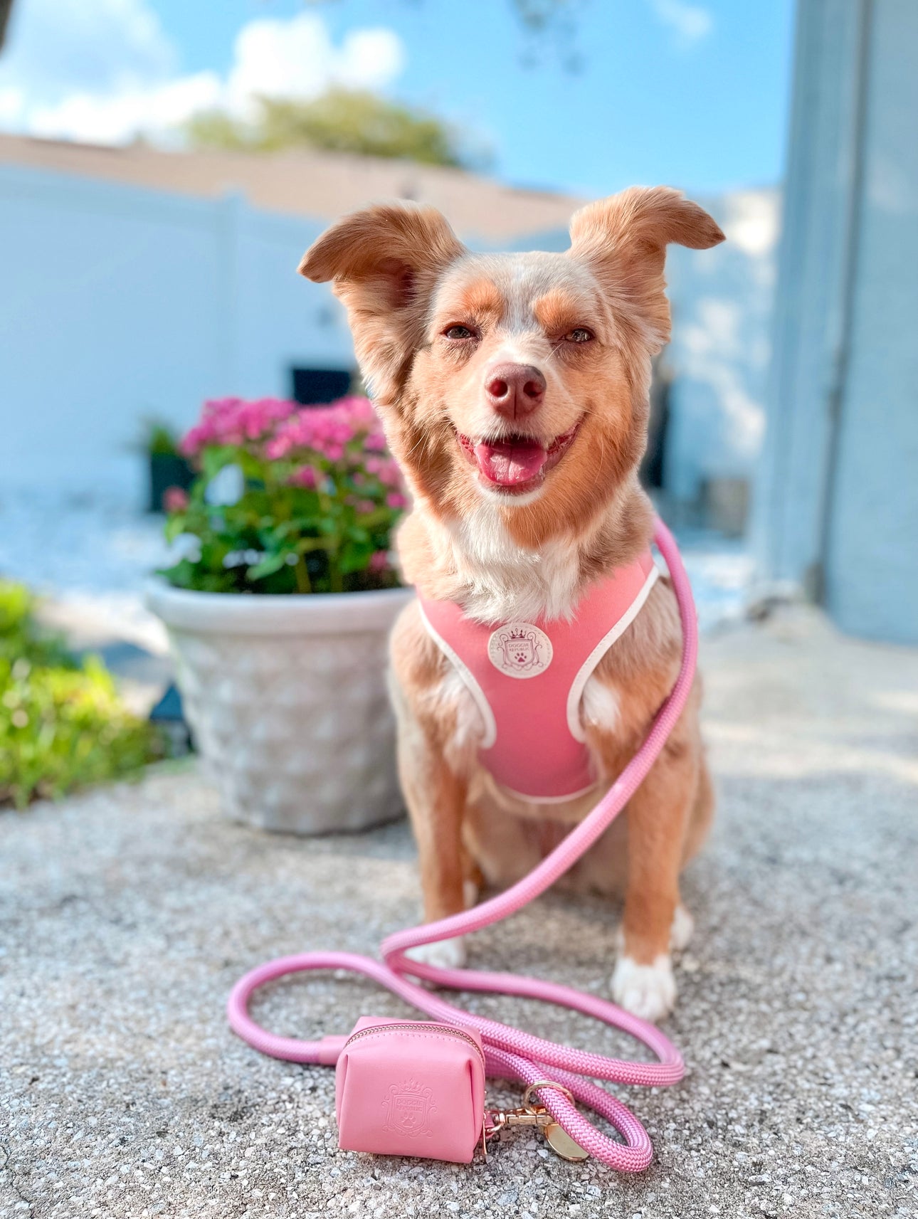 The Classic Leash - Malibu