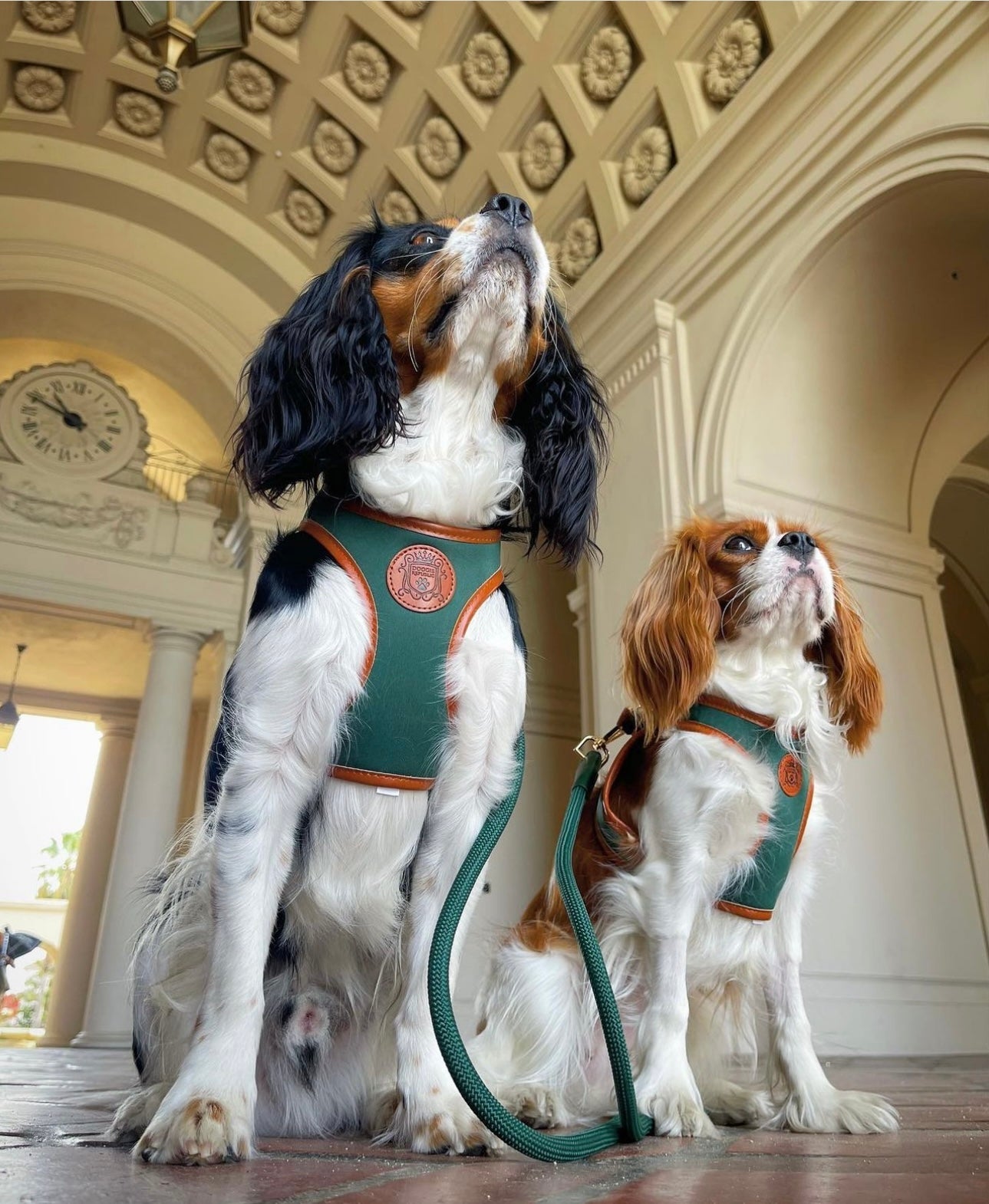 The Classic Harness - Emerald