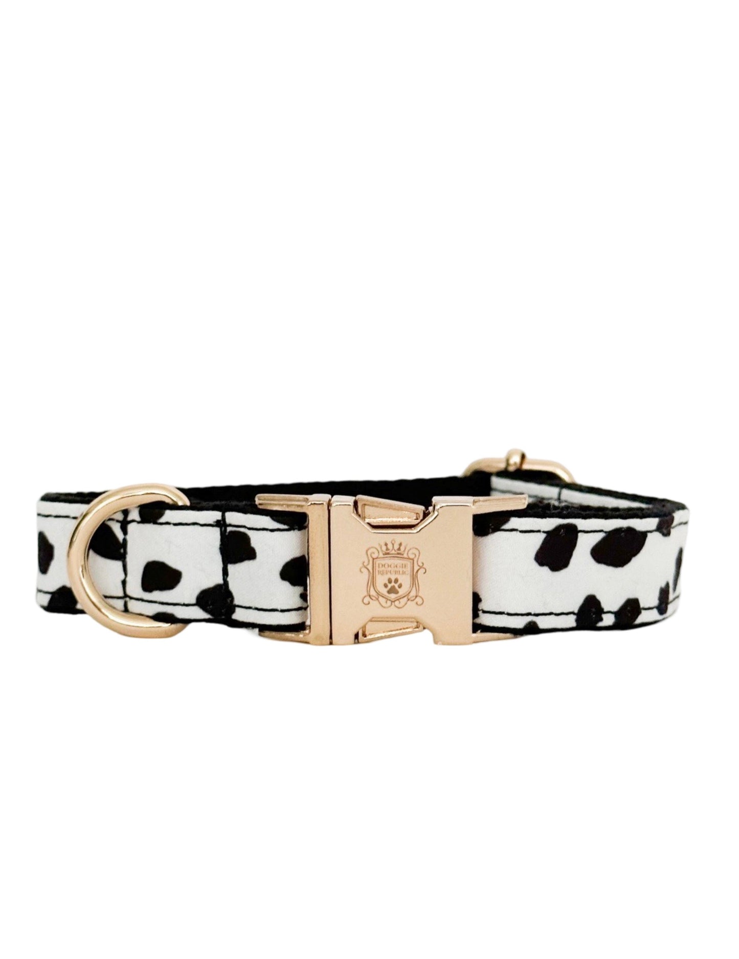 The Doggie Collar - London