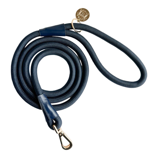 The Classic Leash - Night Sky