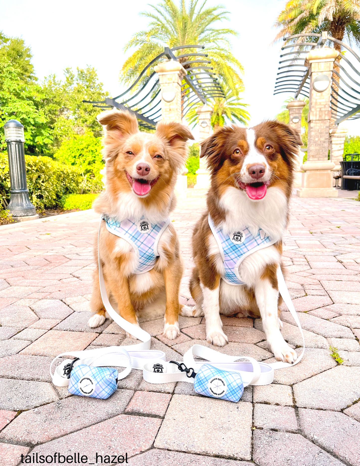 Doggie Sport Waste Bag Holder - Nantucket