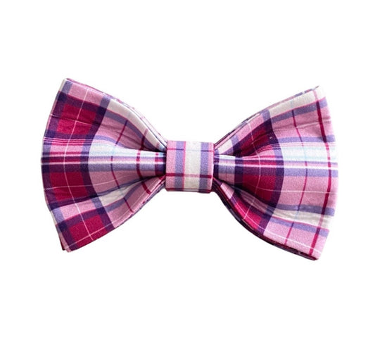 The Doggie Bow Tie - Chelsea