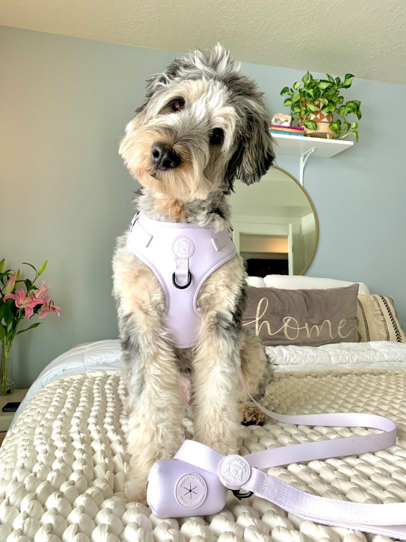 Doggie Sport Waste Bag Holder - I Lilac You A Lot