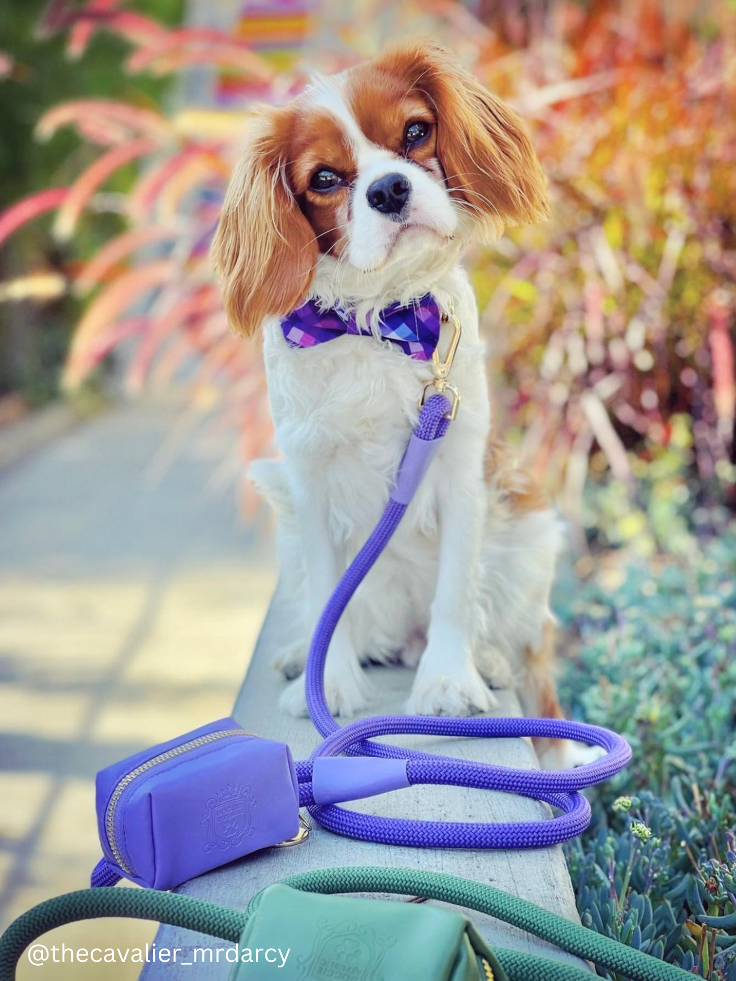 The Classic Leash - Lavender