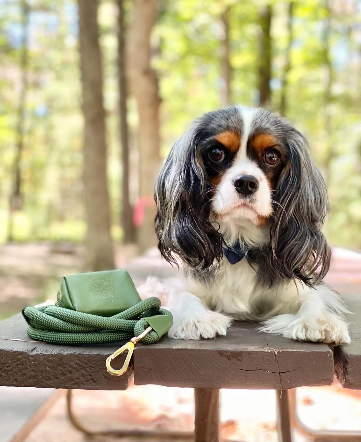 The Classic Leash - Green Tea