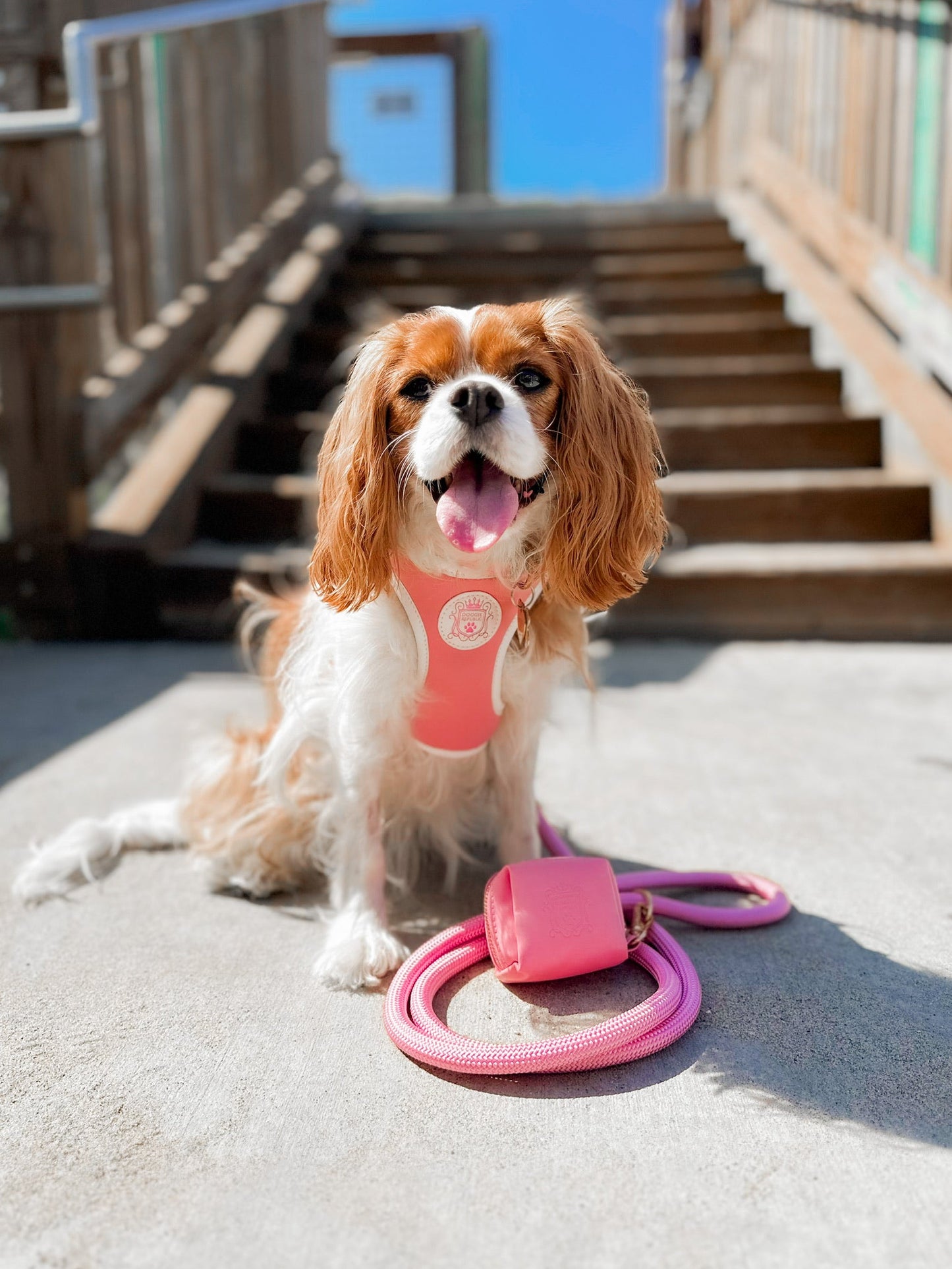 The Classic Leash - Malibu