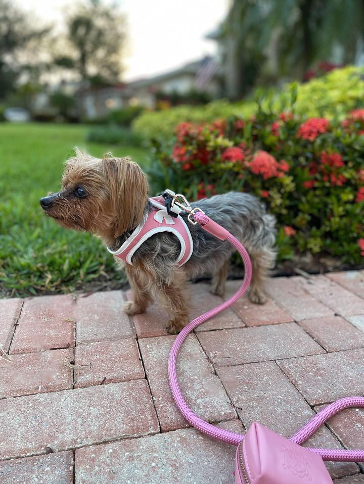 The Classic Harness - Malibu