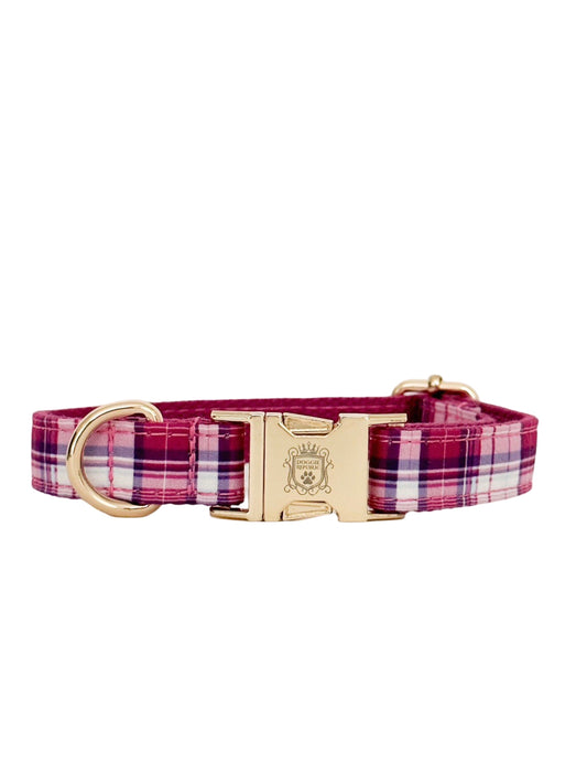 The Doggie Collar - Chelsea