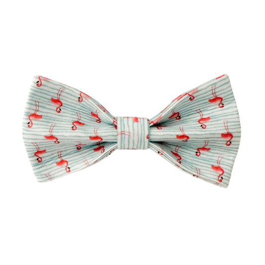 The Doggie Bow Tie - Aruba
